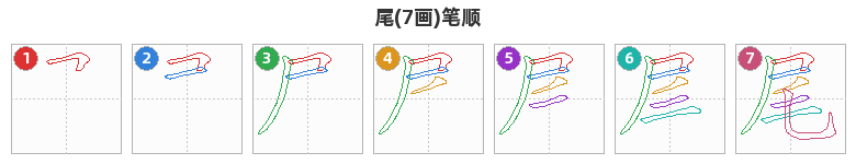 尾笔顺分解图