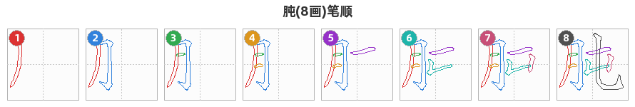 肫笔顺分解图