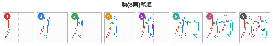肭笔顺分解图