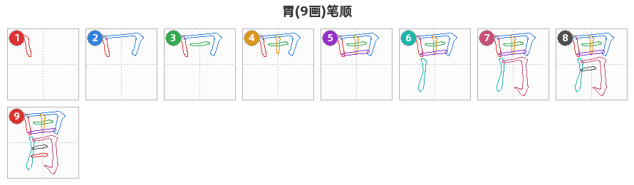 胃笔顺分解图