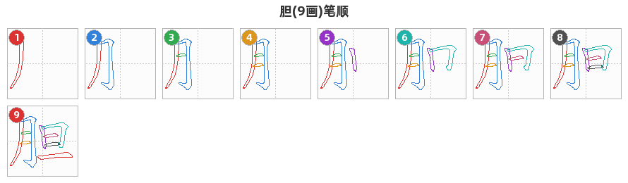 胆笔顺分解图