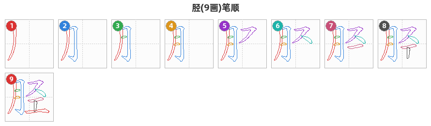 胫笔顺分解图