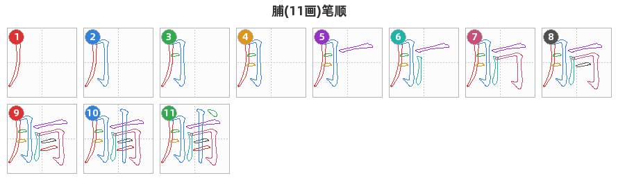 脯笔顺分解图