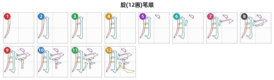 腚笔顺分解图